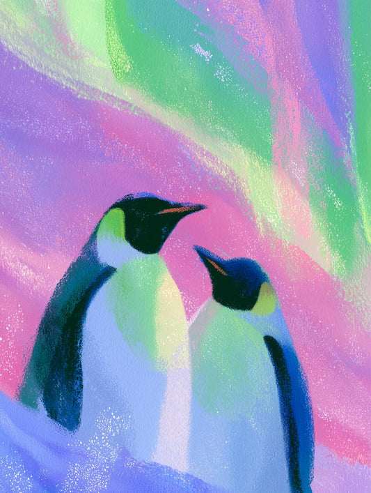 Penguins under Aurora Borealis