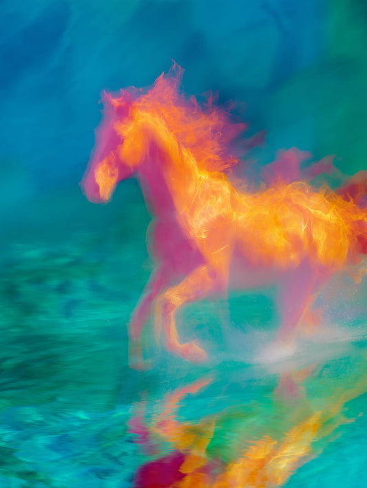 This Horse is on Fire